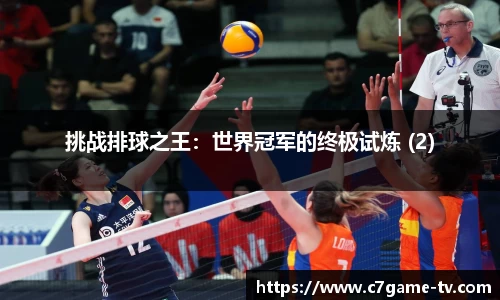 挑战排球之王：世界冠军的终极试炼 (2)